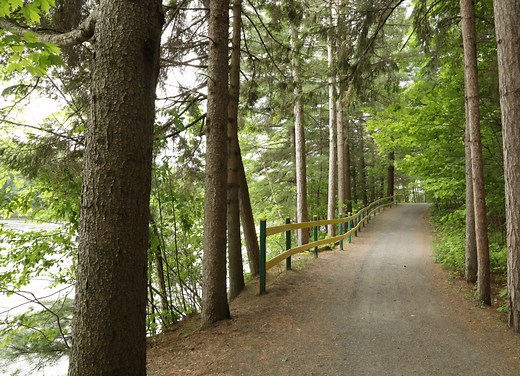 Parc régional Forêt Drummond - Tourisme Drummondville