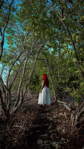 Exploring Jamaica's Beauty with Montego Bay Photography