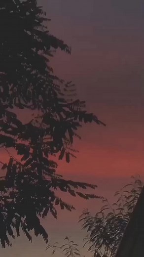 nunggu gratis aja yur🗿 #fyp #foryoupage #evoslegends #evosrekt #evoswann #evosluminaire #donkey #deankt #mplseason10