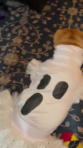 39 reactions · 10 comments | Oh she’s a spooky girl in her ghost outfit. | What's Carl Up To? | Facebook