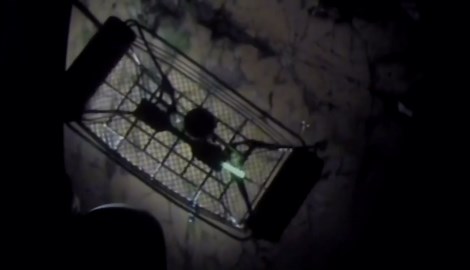 Four teenage paddle boarders rescued from rock in Lake Superior