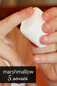 Exploring Marshmallows with the Five Senses in Preschool
