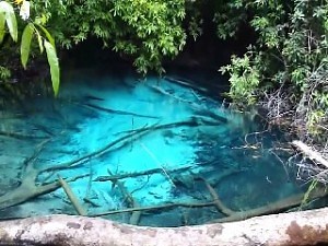 Krabi Emerald Pool (Crystal Pool) in 2026