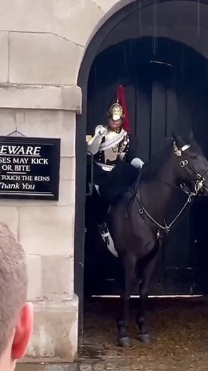 2.2M views · 10K reactions | Guard Smashes the Panic Button for Help! _______________ #shorts #reelsviral #reelsinstagram #reelitfeelit #reels2023 #reelsvideos #reelsforyou #reelsfb #reelsoftheday #reelsfypシ #fyp #foryou #foryoupage #AmaZing #amazingvideo #Amazon #Trend #trendingnow #trendingvideos #trendingreels #trendingpost #horse #guards #london #usareels #usa #followforfollowback #followers | Guard of London | Facebook