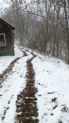 cutting a tree leaning towards a cabin #logging