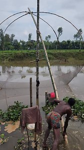 Amazing Net Fishing Video By Tista River #fishing #fishinglife #village #fishingtime #riverfishing #netfishing | Local Fishing Videos