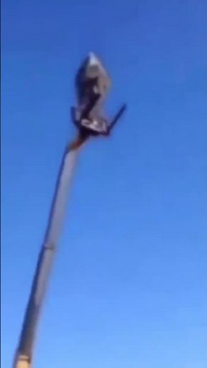 man yelling at rich people( and a cactus(and a forklift))