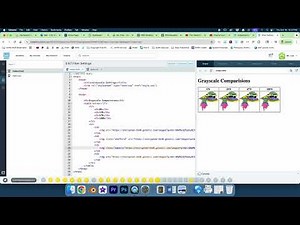Web Development II CodeHS 5.9.7 Filter Settings