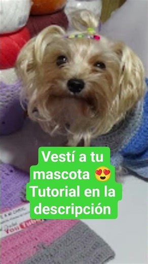 Ropa para mascotas