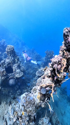East Tangat wreck- where courage meets the current.🧜🏽‍♂️ #easttangat 📹Coron Freediver Edhil | Lendry Bryan Magno Fronda