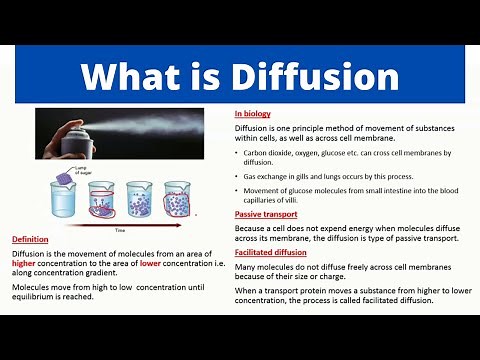What is Diffusion | Simple Diffusion | Facilitated Diffusion | Biology