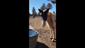 15K views · 98 reactions | Logan had Faecal Water Syndrome,...