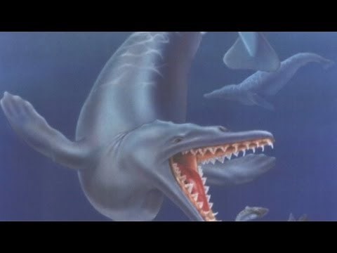 Ancient whale fossils found in Peru desert