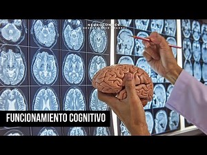 Funcionamiento cognitivo y emocional: Cómo el cerebro procesa la cognición y las emociones.