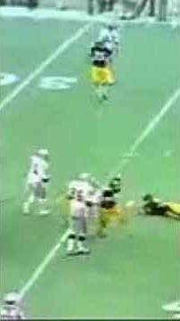 Jack Fleming Calls The Immaculate Reception Play On Steelers Radio (1972)