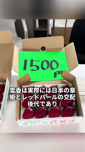 『日本も模倣するのだろうか』……BBCが韓国の世界一と称されるイチゴの真相を取材した結果やばすぎる
