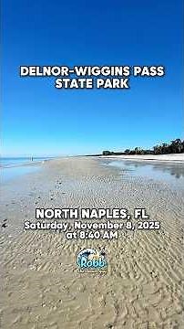 Part 2 of Robb’s Saturday Morning Walk Up the Beach at Delnor-Wiggins in North Naples, FL (11/08/25)