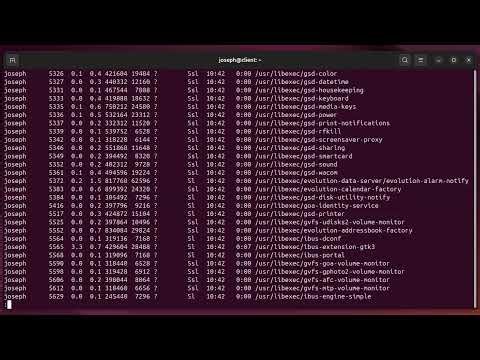 Seeing the processes other Linux Users are running