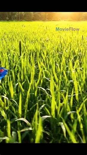 Dongeng Burung Pipit dan semut merah. #animasi #semut #burungpipit
