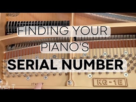Where to Find a Piano Serial Number? In Just a few steps!