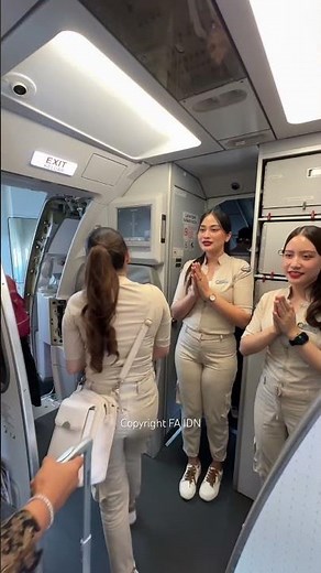 Beautiful flight attendant getting ready to open the plane door #shortvideo