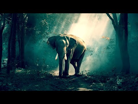 Entspannungsmusik für zwischendurch ohne Werbung