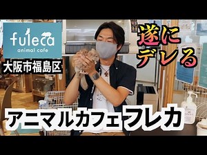 Animal cafe "Fuleca Fukushima" in Japan famous entertainment store