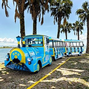 [Hot Item] 42-Seater Sightseeing Train Electric Road Train for Family Fun Adventures