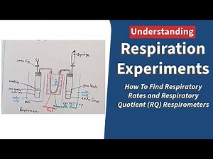 Respiration Experiments: How To Find Respiratory Rates and Respiratory Quotient (RQ) Respirometers