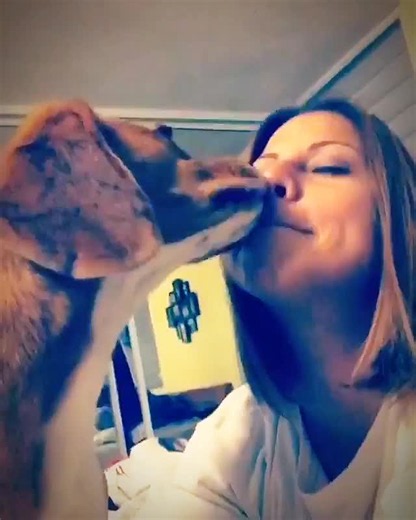 dog and giral met frandly hug #cutemomments #viral #giralanddog #cuple #fyp