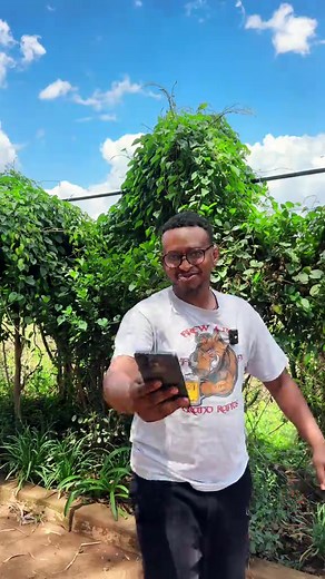 habesha wesib video telegram link 2026
