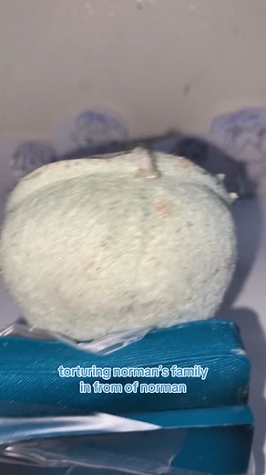 famly reunion.. how cute🥺 #fyp #norman #tpn #thepromisedneverland #normalnorman #fypシ #viral