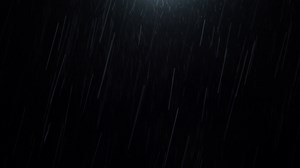 Download Night rain. 4k Loop Rain Drops Falling in rainy season. for free