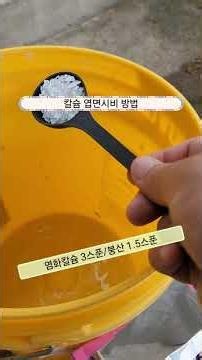 🌱 [쩌리팜] - 칼슘 엽면시비 방법. 단돈 100원도 안들어요. #칼슘비료,#칼슘붕소, #엽면시비