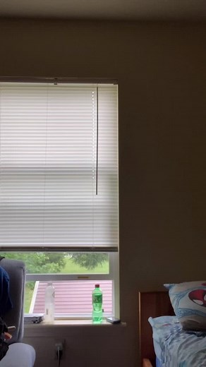 Jason Alexander Ple Comedy Sketch Compilation