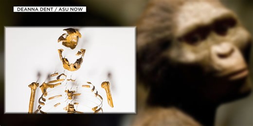 Arizona State paleontologist talks about 50-year anniversary of his Lucy skeleton discovery