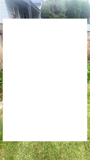 ️Daemon (@daemon.helg)’s videos with original sound - ️Daemon