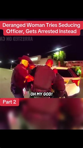 Deranged Woman Attempts to Seduce Officer, Faces Arrest
