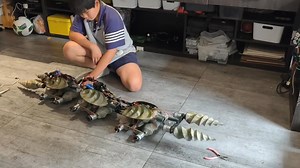 This dad is incredibly awesome! He built a robot for his kid from scratch. The entire process, from the design phase to the final assembly, is full of jaw - dropping moments. Many netizens commented, “Hey dad, make one for us too!”#robot#DIY#craftsmanship | Real Time China