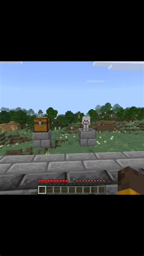 netherite and diamond or wolf in Minecraft #minecraft