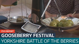 Inside the country's oldest gooseberry show - Latest From ITV News