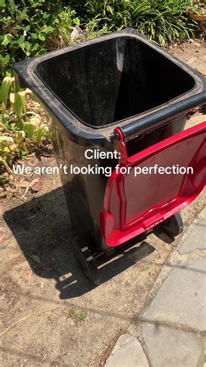 Traditional Window Cleaning Techniques for a Stunning Shine