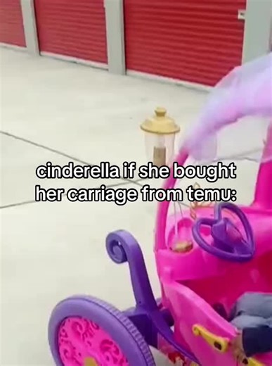 Cinderella's Unique Carriage from Temu Store
