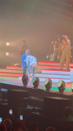 36K views · 48 reactions | Neefs Frank on Reels | Facebook