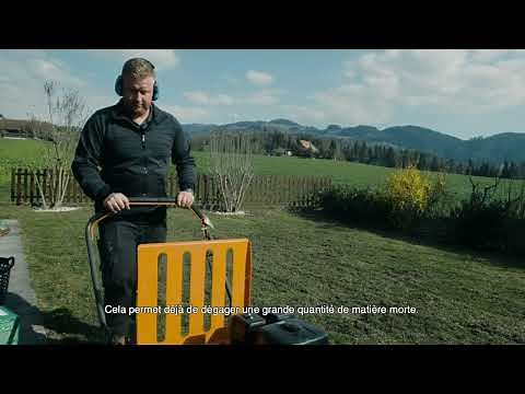 Scarifier ta pelouse - un guide en 5 étapes