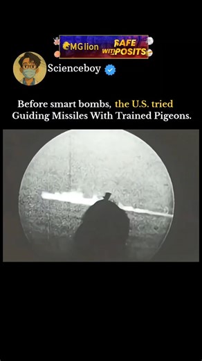 Deepak Kumar on Instagram: "That video shows a real historical project called Project Orcon (short for "Organic Control"), also famously known as Project Pigeon. It was the brainchild of the famous American psychologist B.F. Skinner during World War II. At the time, missile guidance systems were bulky, unreliable, and easily jammed by electronic interference. Skinner proposed that pigeons—being highly visual and easily trained—could serve as a biological guidance system. How It Worked The mechan