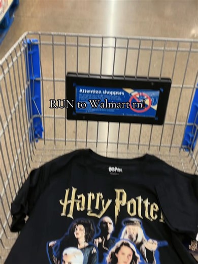 Legendary Harry Potter Merchandise Found at Walmart