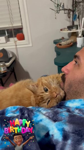 🎂 From across the globe, Kermit's birthday love knows no bounds! Thank you to the wonderful kids in France for their purr-ecious birthday wishes ❤️ #birthdaycat #mrkermitmeow #catdad #catlovers | Javie and Mr. Kermit