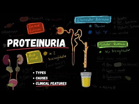 Types of PROTEINURIA | Causes, Pathophyisology | incl. CLINICAL features!
