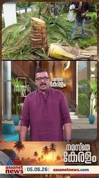 'കെഎസ്ഇബിക്ക് തോന്നുംപടി വെട്ടിനിരത്താൻ അധികാരമുണ്ടോ..?, നമ്മുടെ അനുവാദം ഇല്ലാതെ വീട്ടിൽ കയറി..
